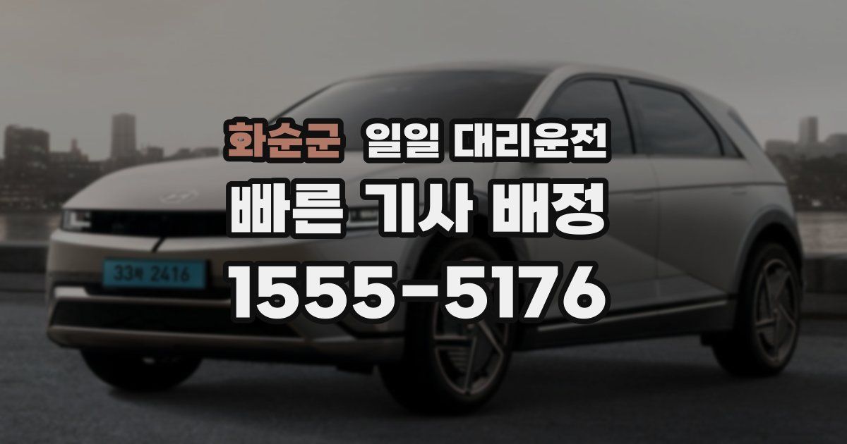 화순군 일일 대리운전