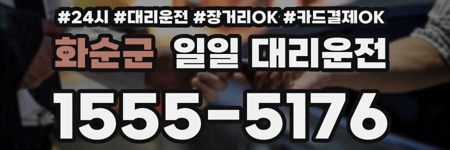 화순군 일일 대리운전
