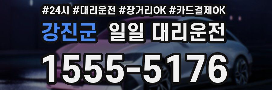 강진군 일일 대리운전