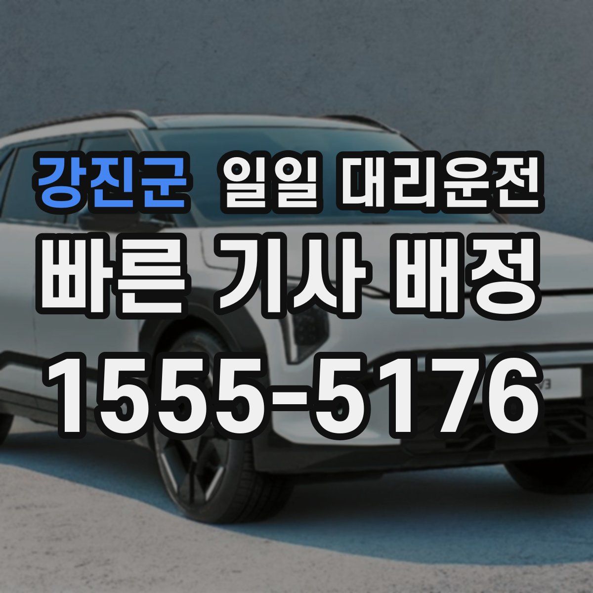 강진군 일일 대리운전