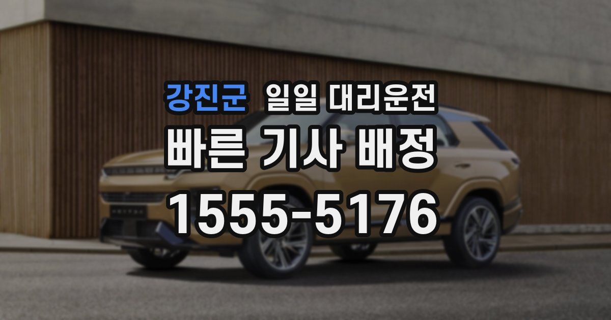 강진군 일일 대리운전