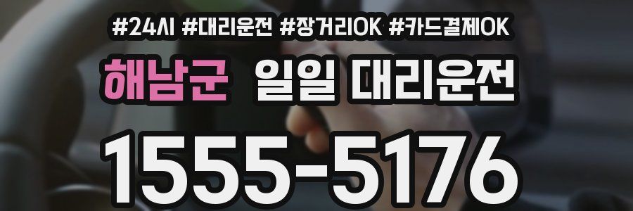 해남군 일일 대리운전