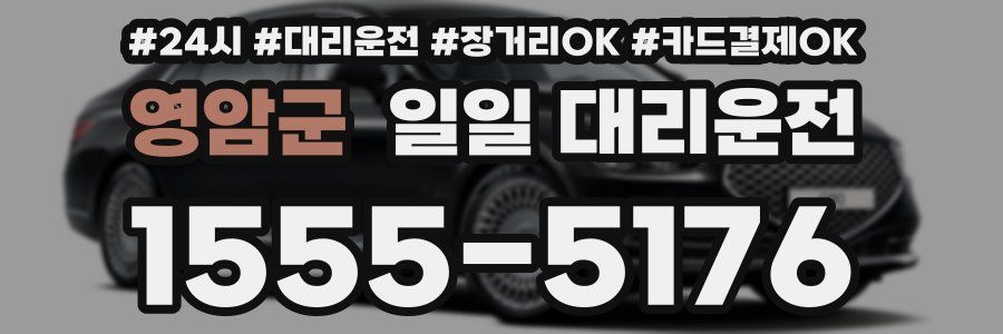 영암군 일일 대리운전