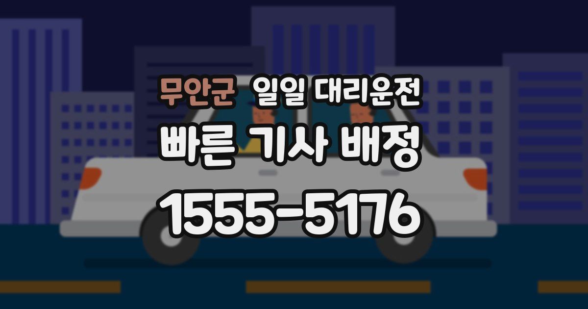 무안군 일일 대리운전
