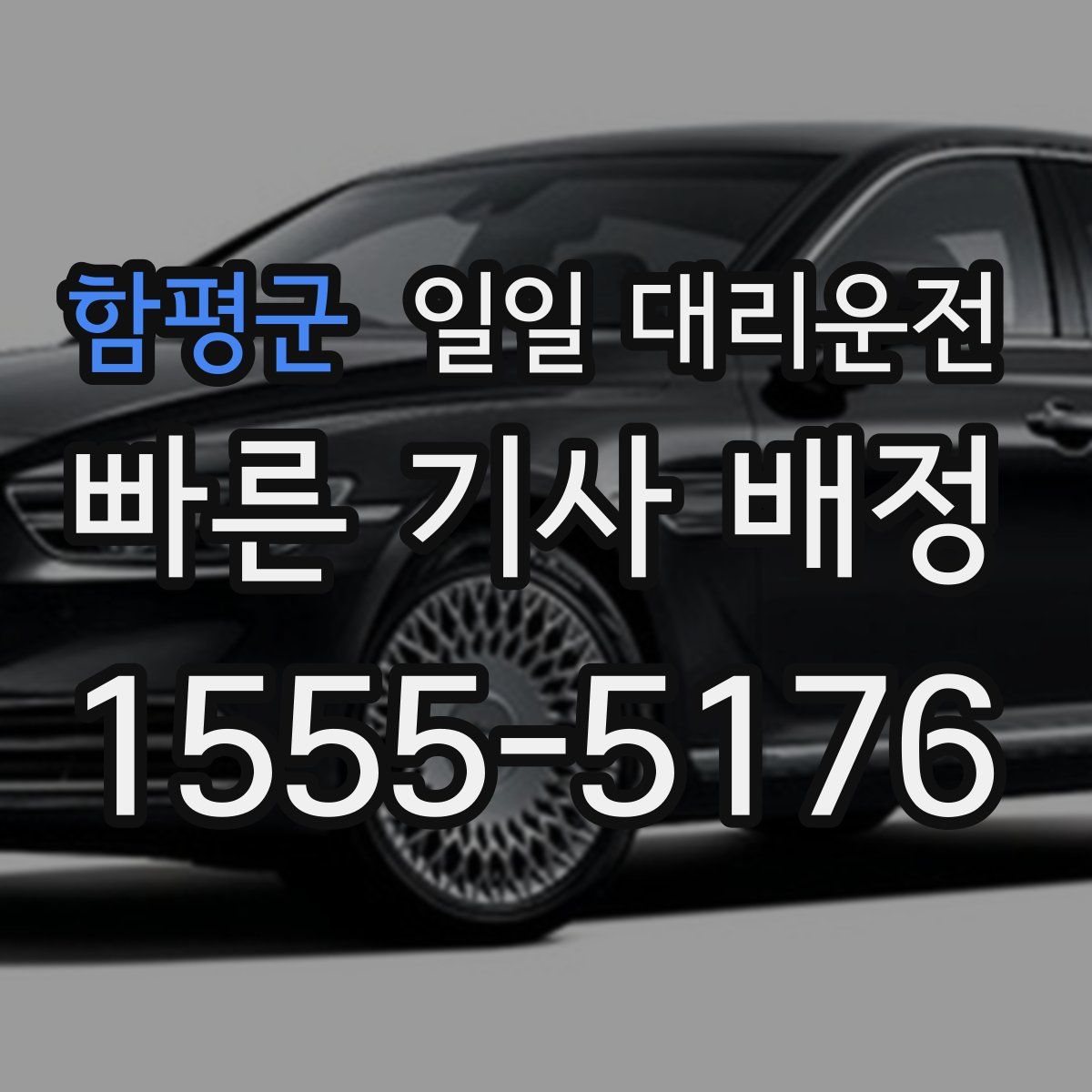 함평군 일일 대리운전
