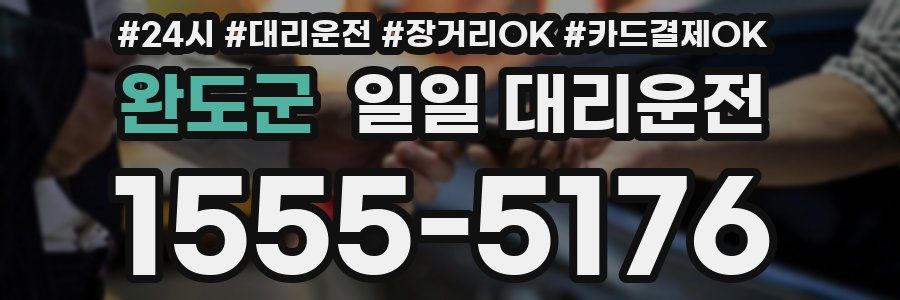 완도군 일일 대리운전