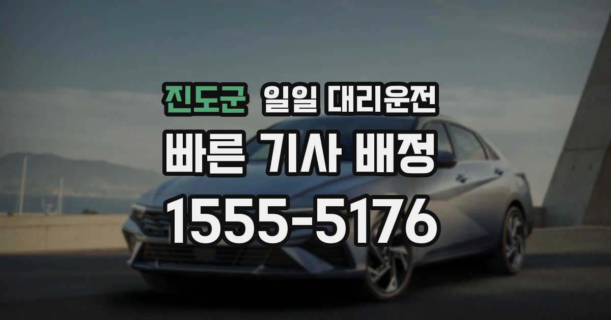 진도군 일일 대리운전