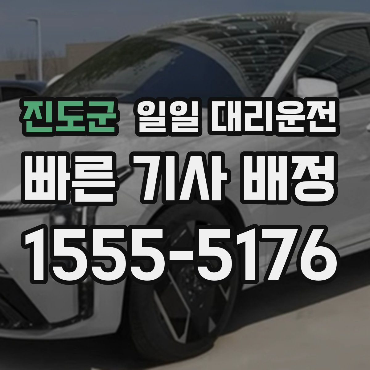 진도군 일일 대리운전