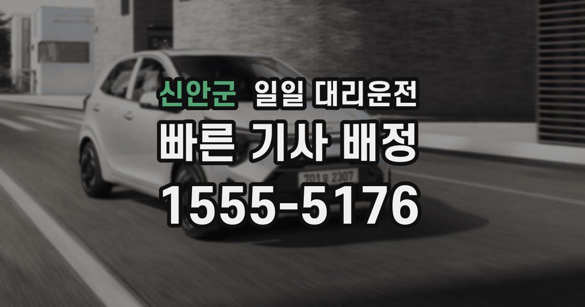 신안군 일일 대리운전