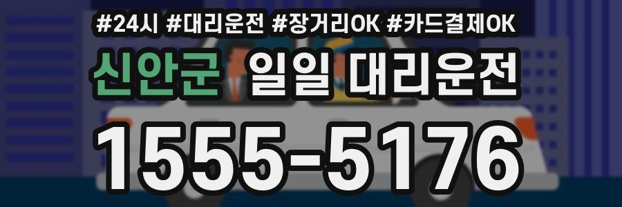 신안군 일일 대리운전