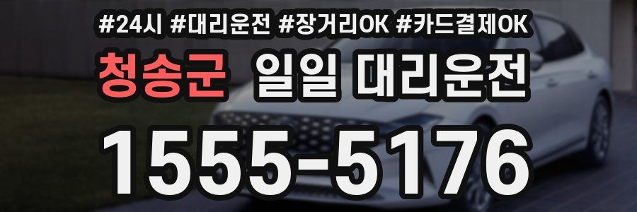 청송군 일일 대리운전