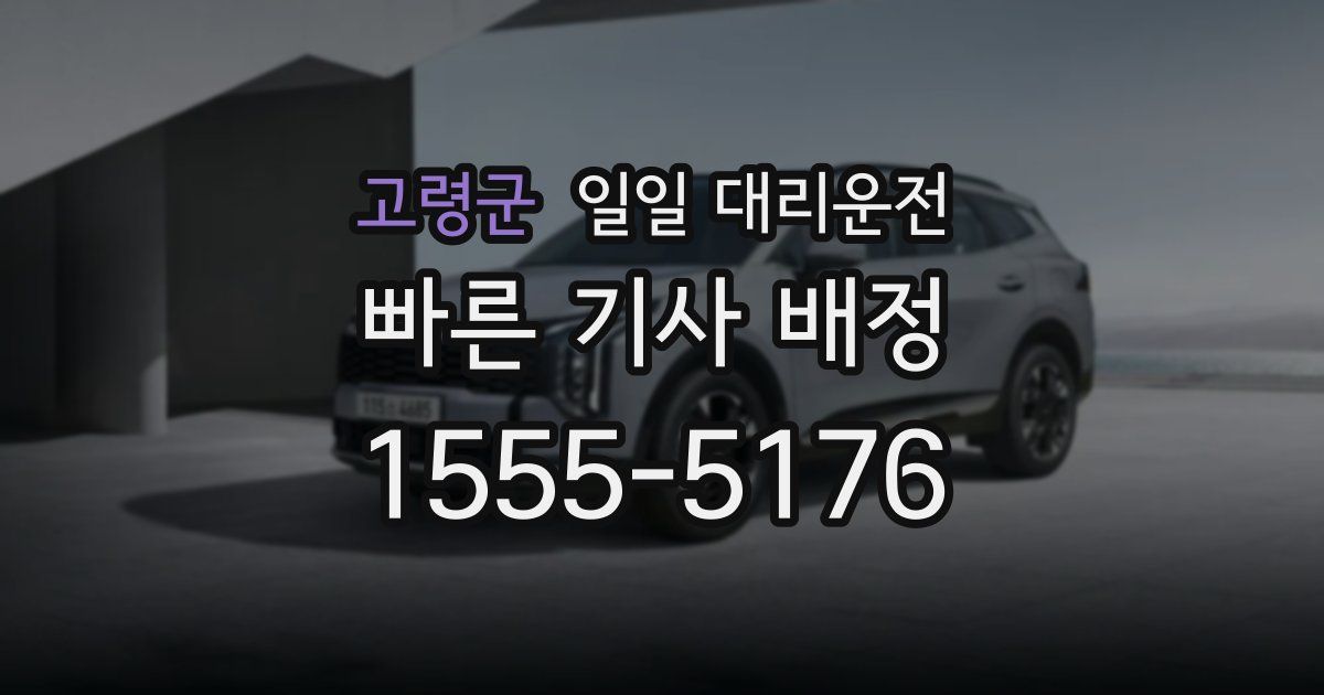 고령군 일일 대리운전