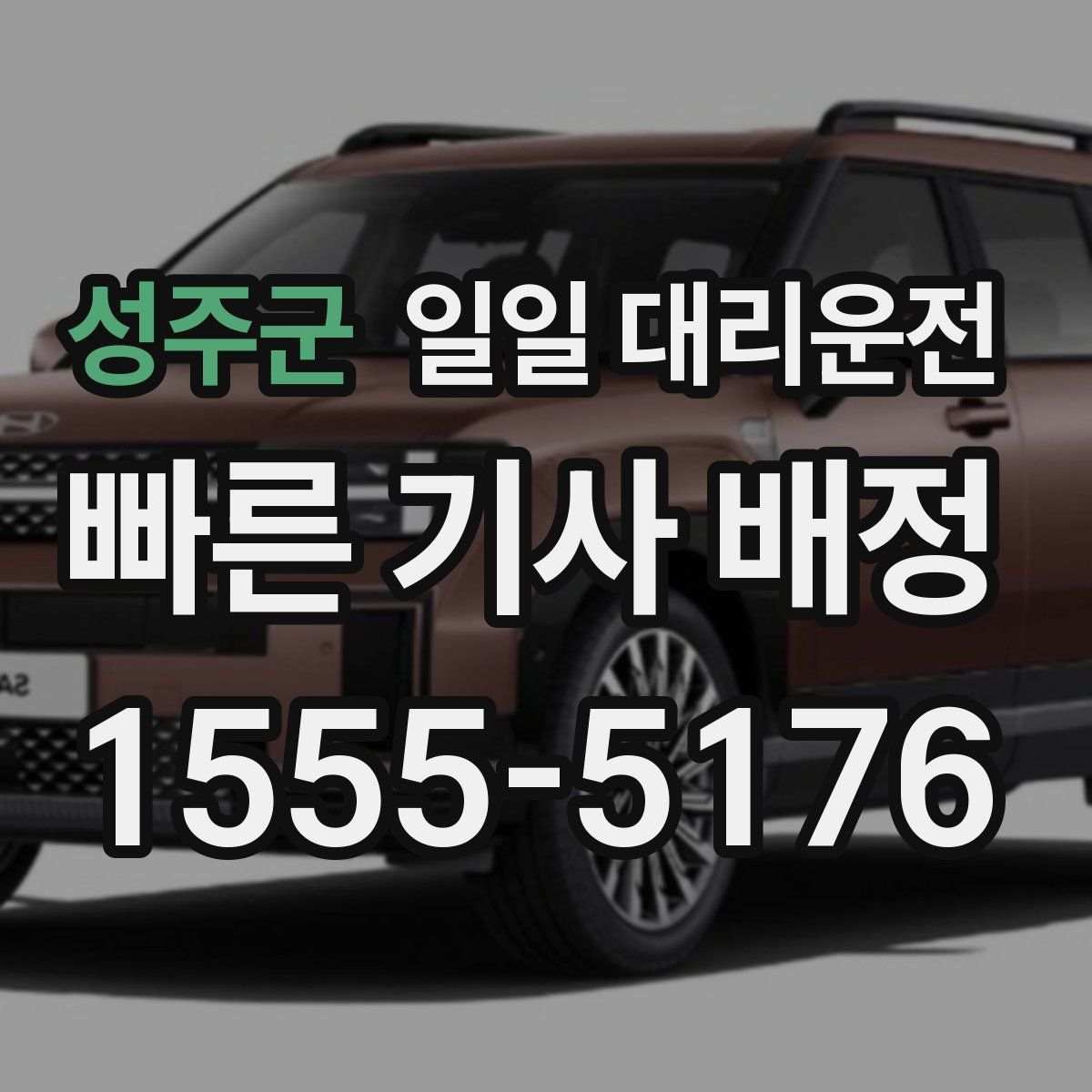 성주군 일일 대리운전