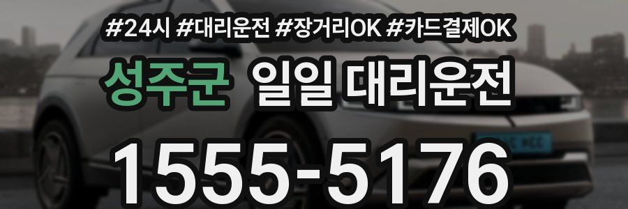 성주군 일일 대리운전