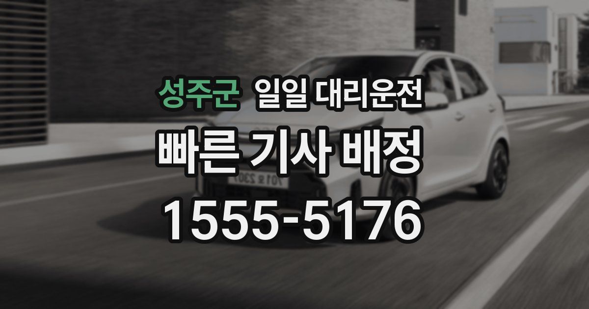 성주군 일일 대리운전