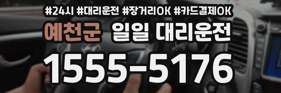 예천군 일일 대리운전