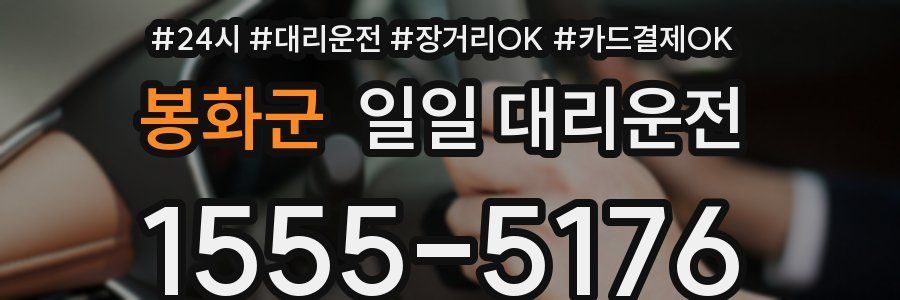 봉화군 일일 대리운전
