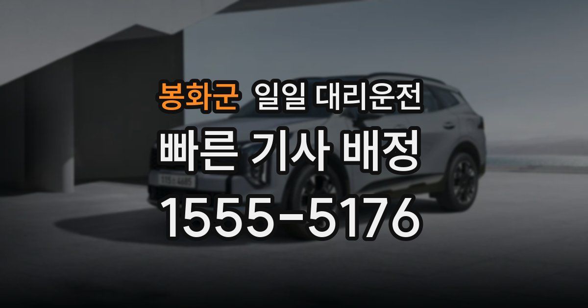봉화군 일일 대리운전