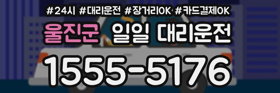 울진군 일일 대리운전