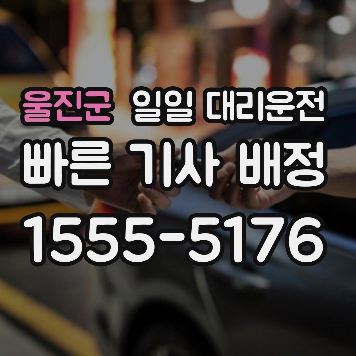 울진군 일일 대리운전