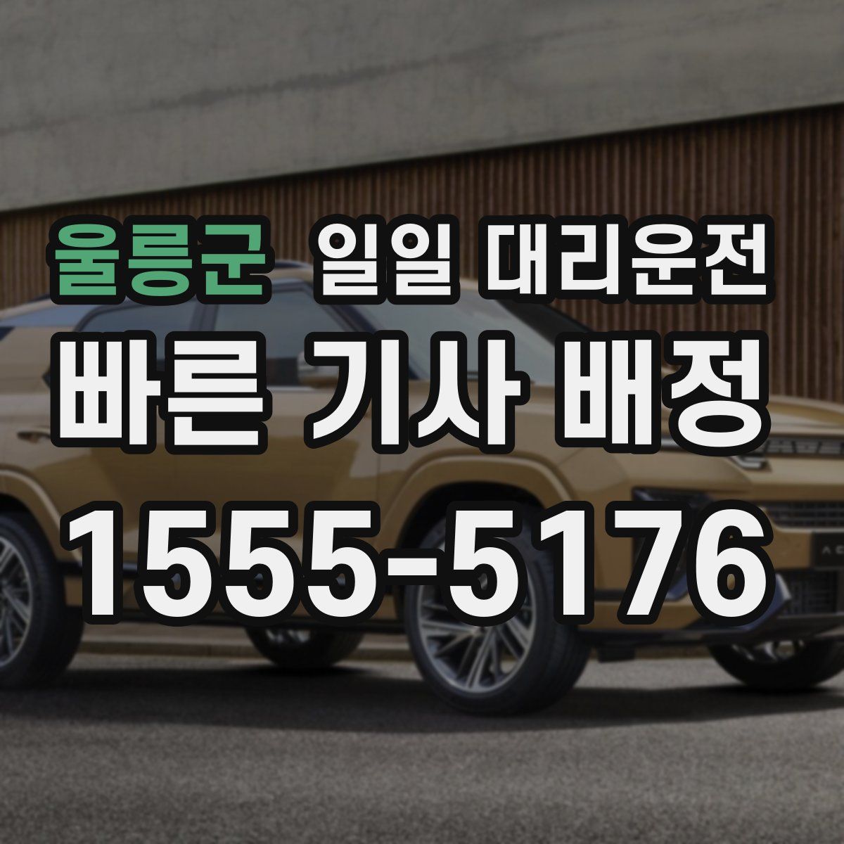 울릉군 일일 대리운전