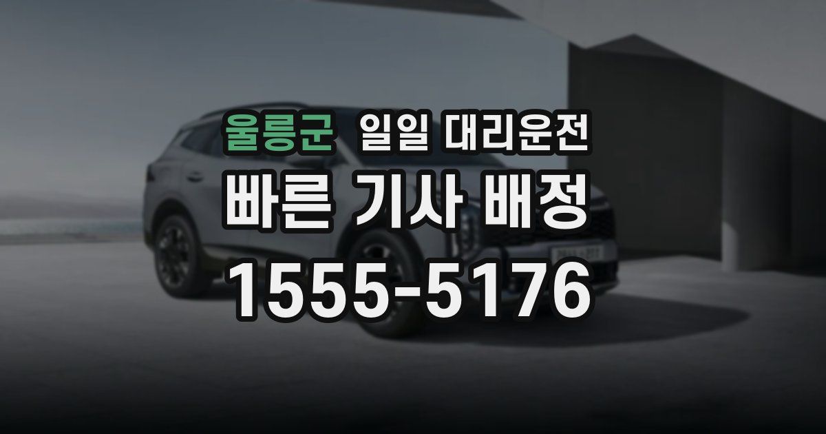 울릉군 일일 대리운전