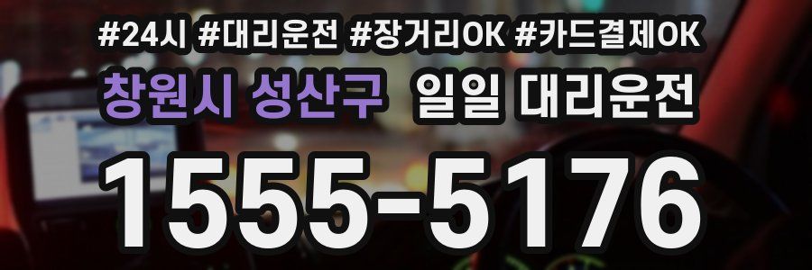 창원시 성산구 일일 대리운전