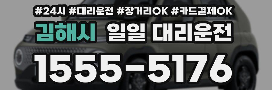김해시 일일 대리운전
