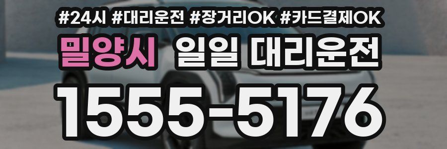밀양시 일일 대리운전
