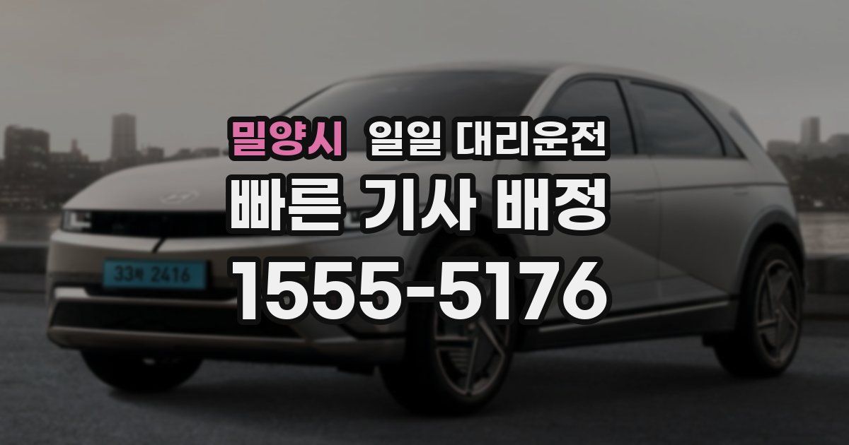 밀양시 일일 대리운전