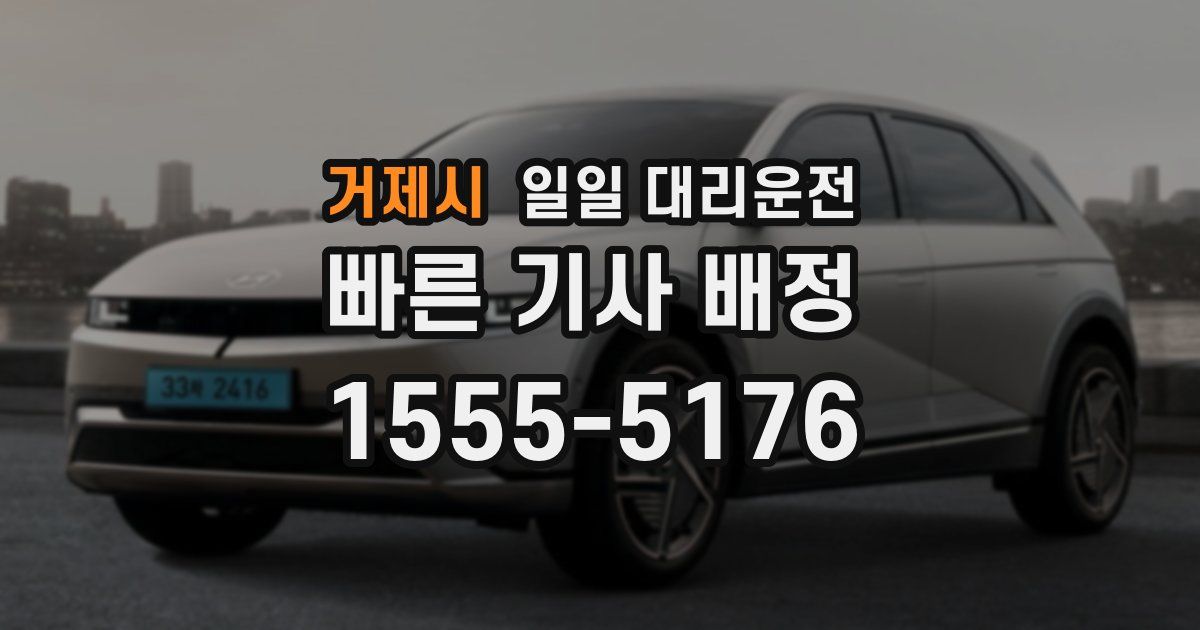 거제시 일일 대리운전
