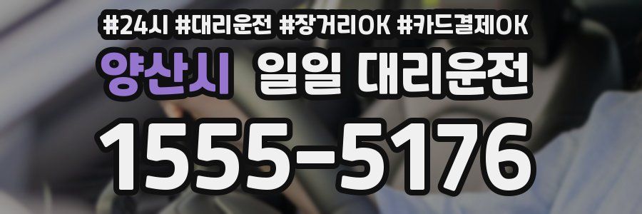 양산시 일일 대리운전