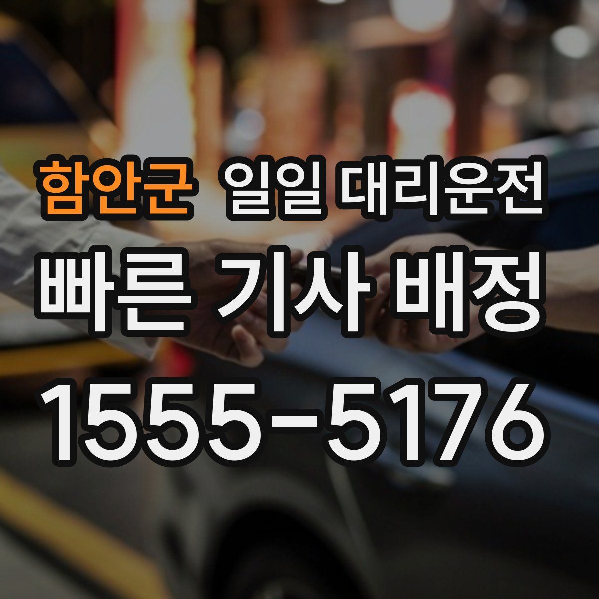 함안군 일일 대리운전