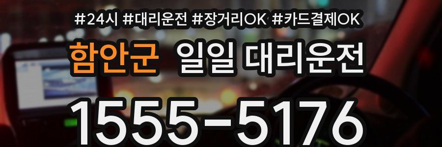함안군 일일 대리운전