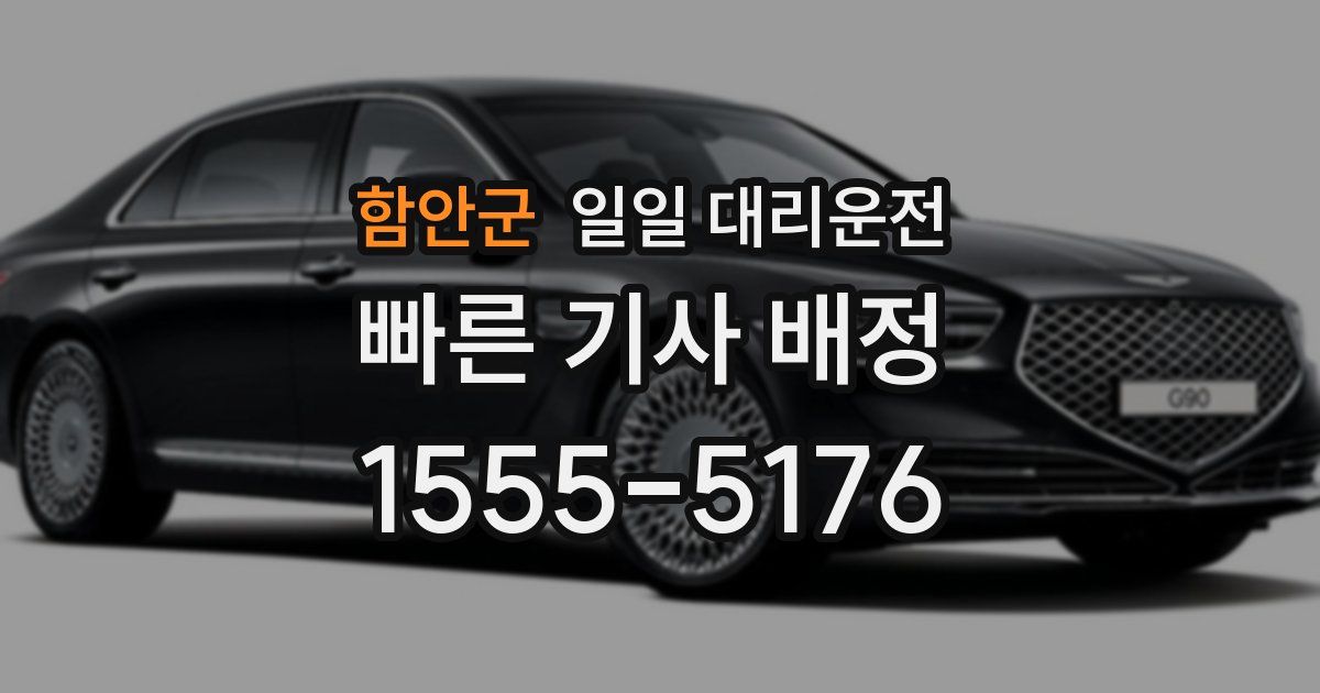 함안군 일일 대리운전