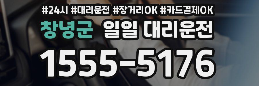 창녕군 일일 대리운전