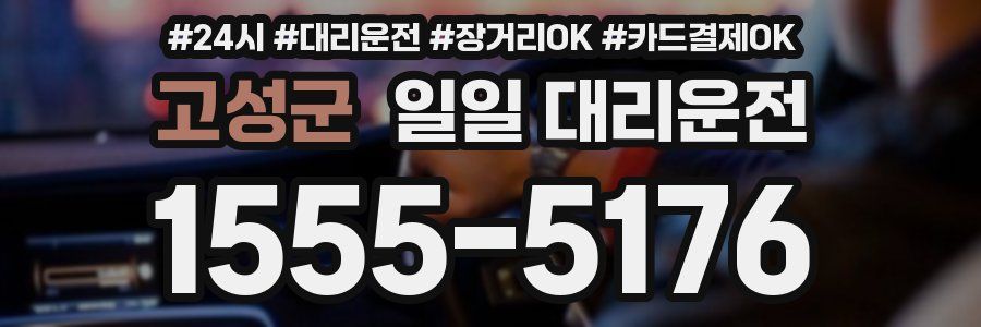 고성군 일일 대리운전