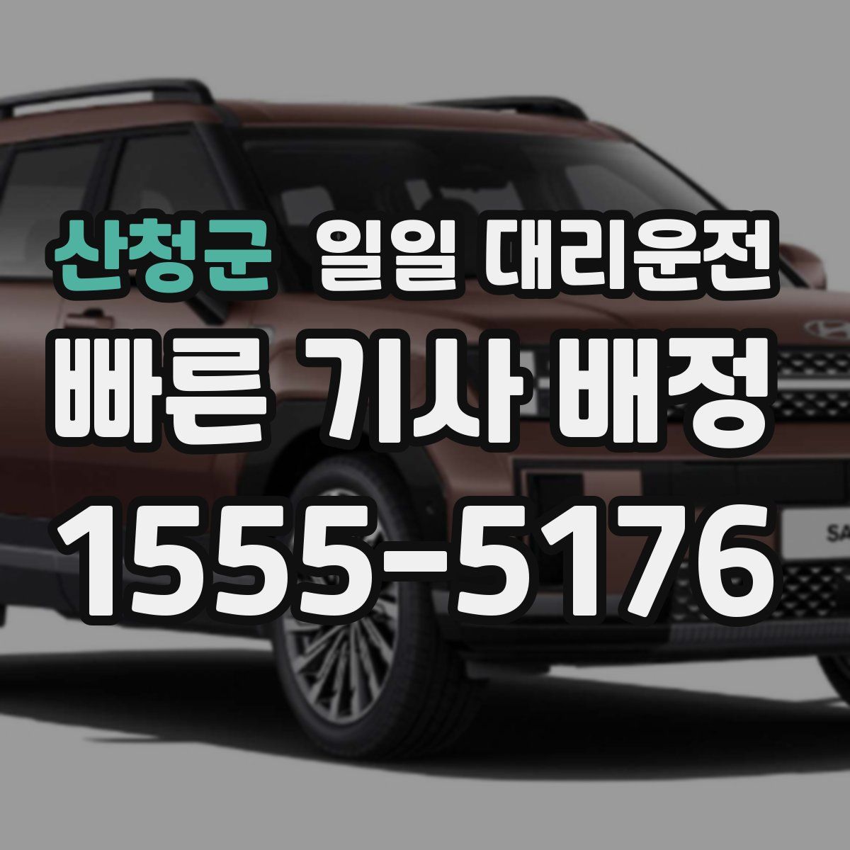 산청군 일일 대리운전