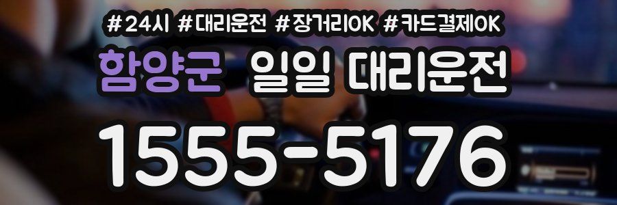 함양군 일일 대리운전