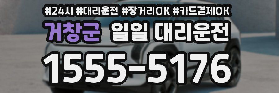 거창군 일일 대리운전