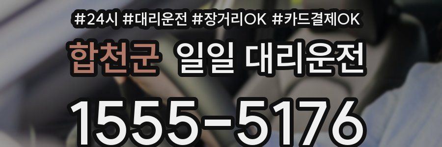 합천군 일일 대리운전