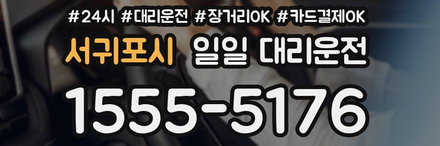 서귀포시 일일 대리운전