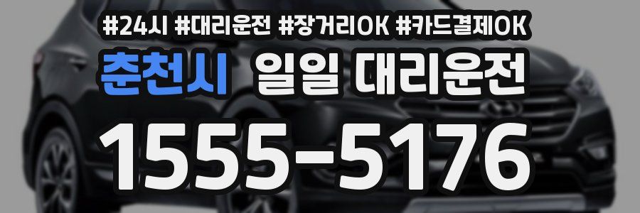 춘천시 일일 대리운전