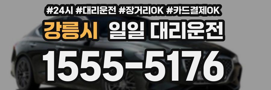 강릉시 일일 대리운전