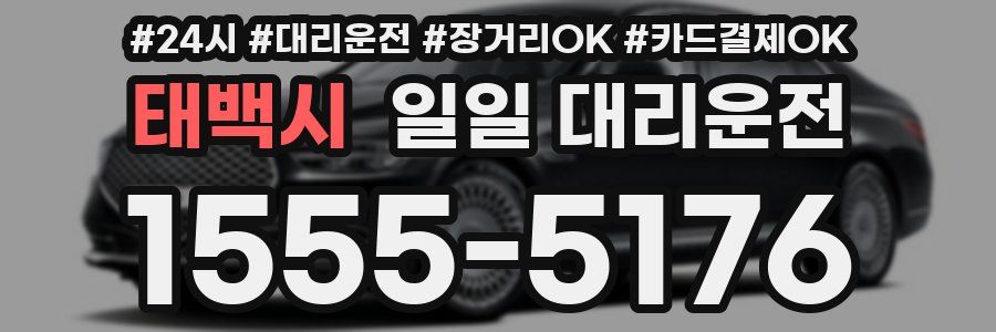 태백시 일일 대리운전