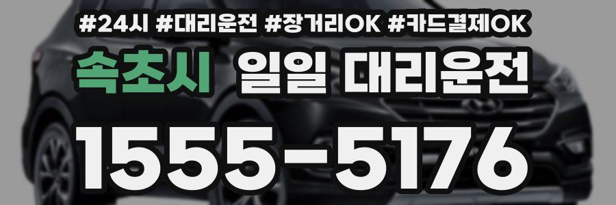 속초시 일일 대리운전