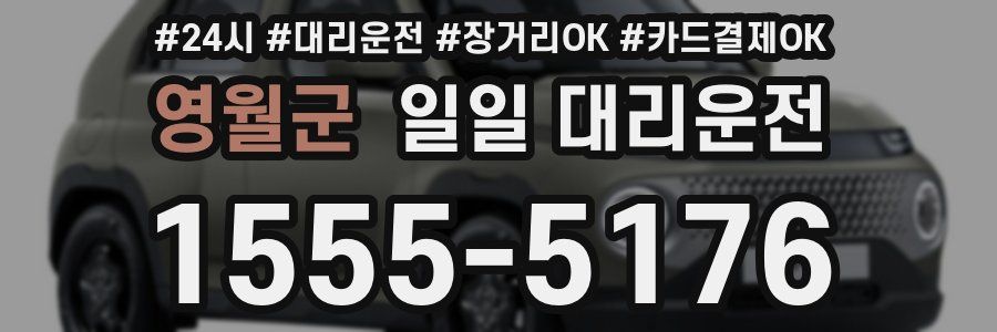 영월군 일일 대리운전