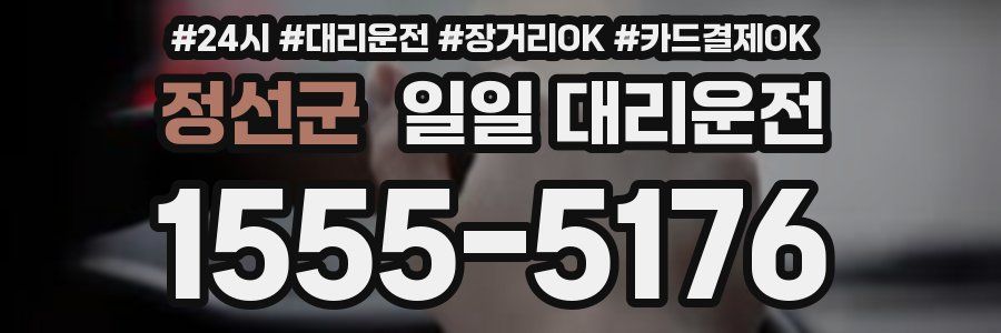 정선군 일일 대리운전