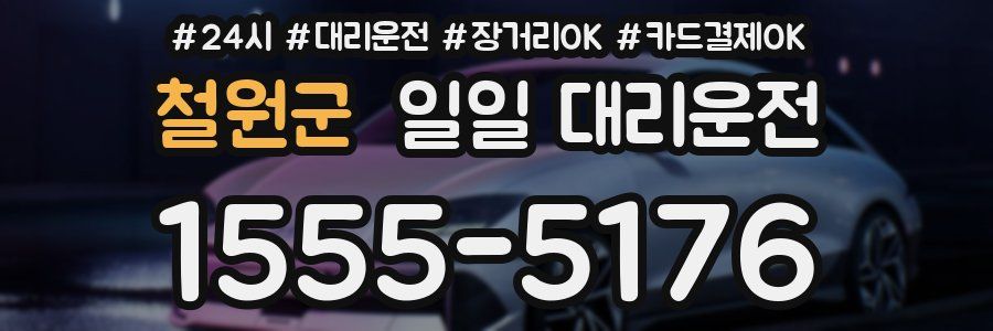 철원군 일일 대리운전