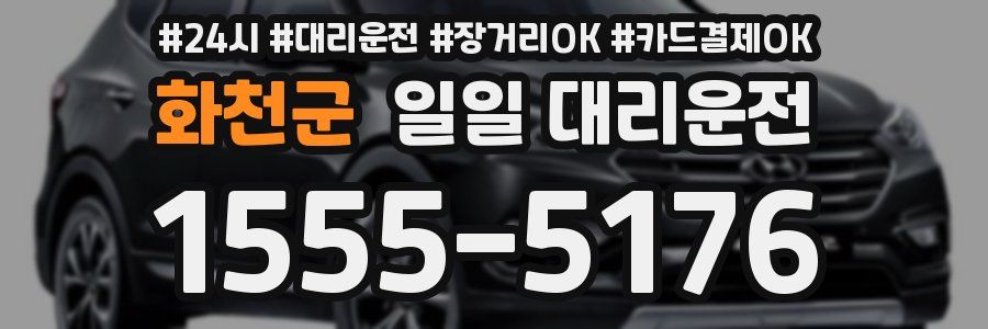 화천군 일일 대리운전